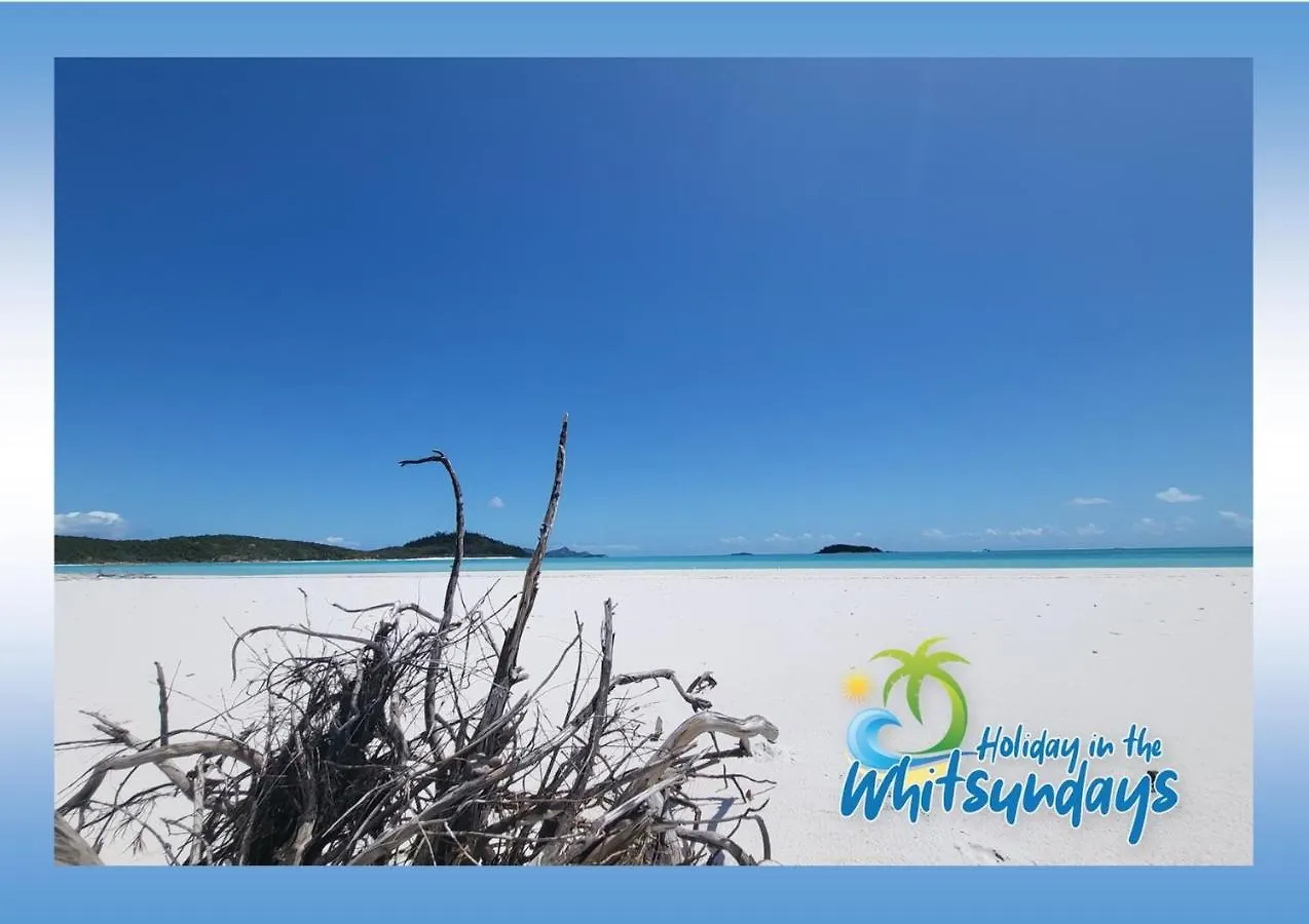 Lejlighed Ocean View 16A Studio Pool & Spa Wi-Fi Airlie Beach